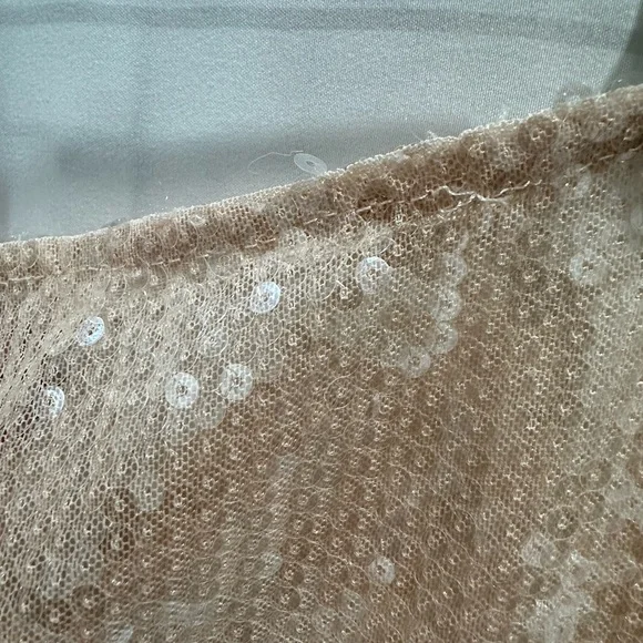 Edikted Riki light pink sheer sequin maxi Skirt - Picture 9 of 15